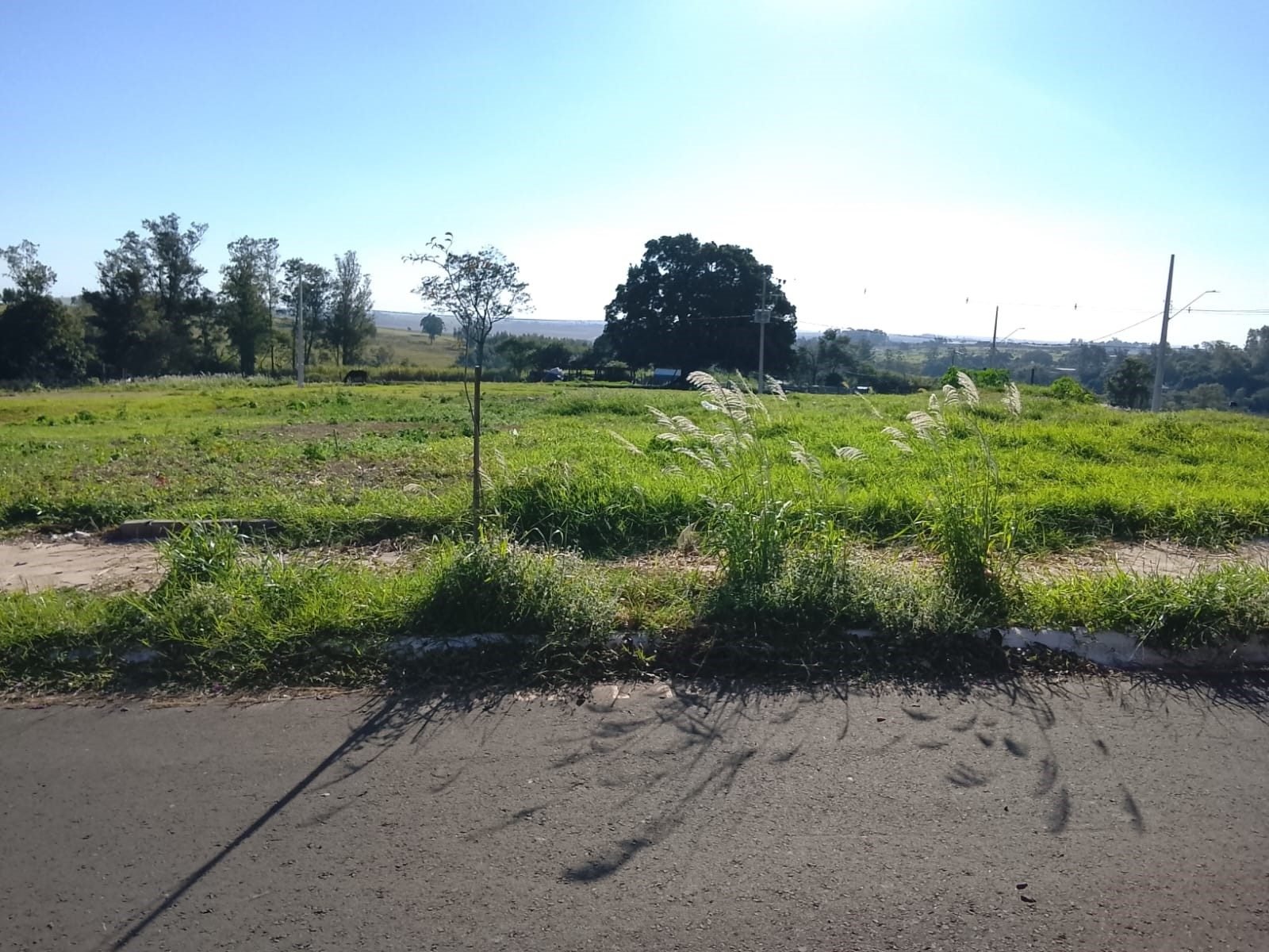 Lote 262m² – Jardim Cidade Alta II – Araruna/PR